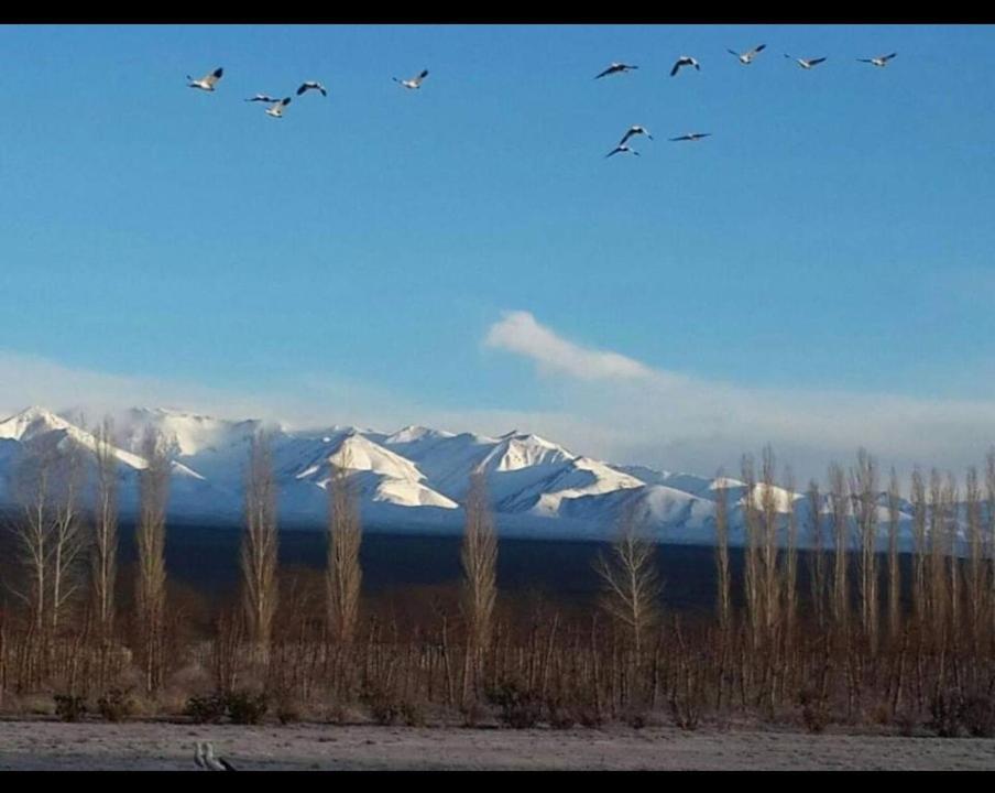 Rio Los Patos Barreal Bagian luar foto